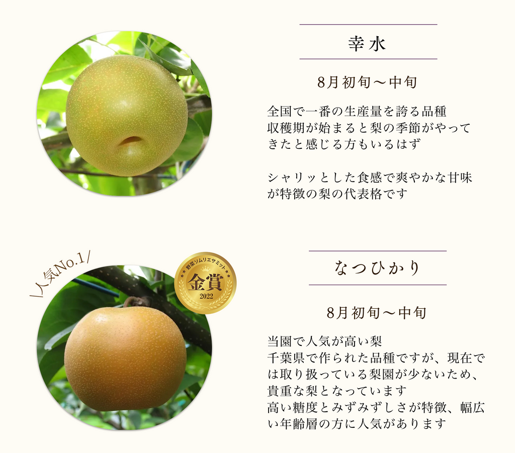 【商品ページ】『FurukawaFARMの梨』幸水 & なつひかりの食べ比べセット (5㎏・12～16玉)