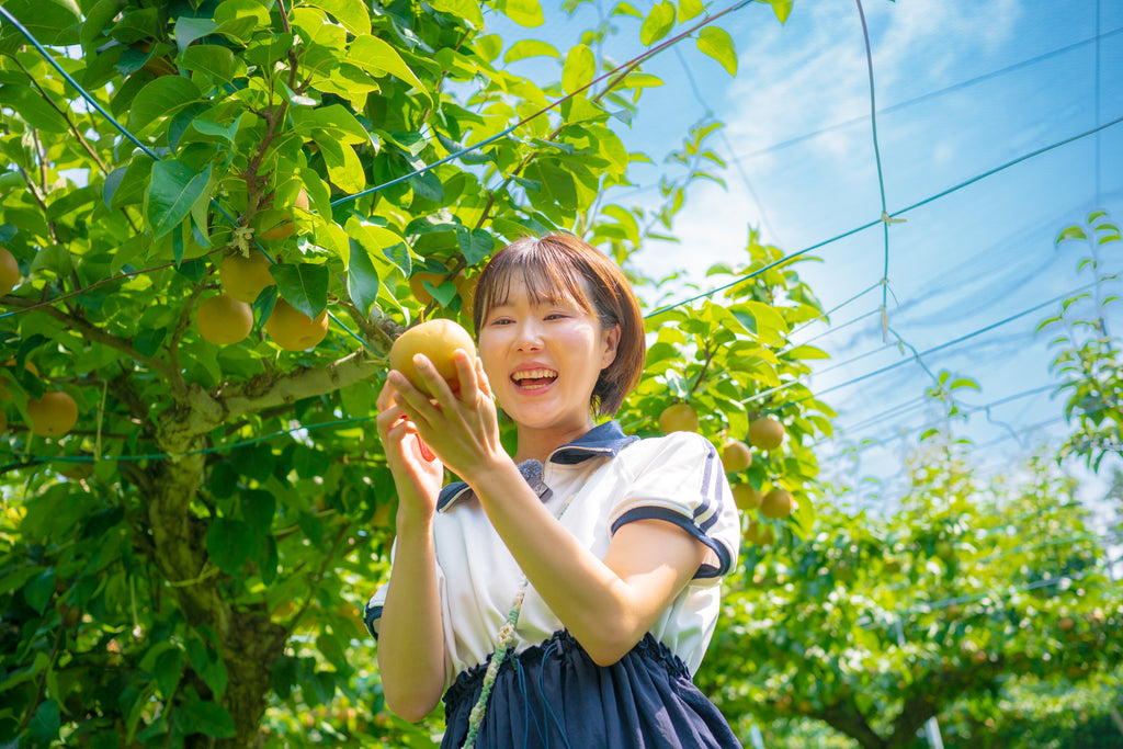 【商品ページ】『FurukawaFARMの梨』幸水 & なつひかりの食べ比べセット (5㎏・12～16玉)